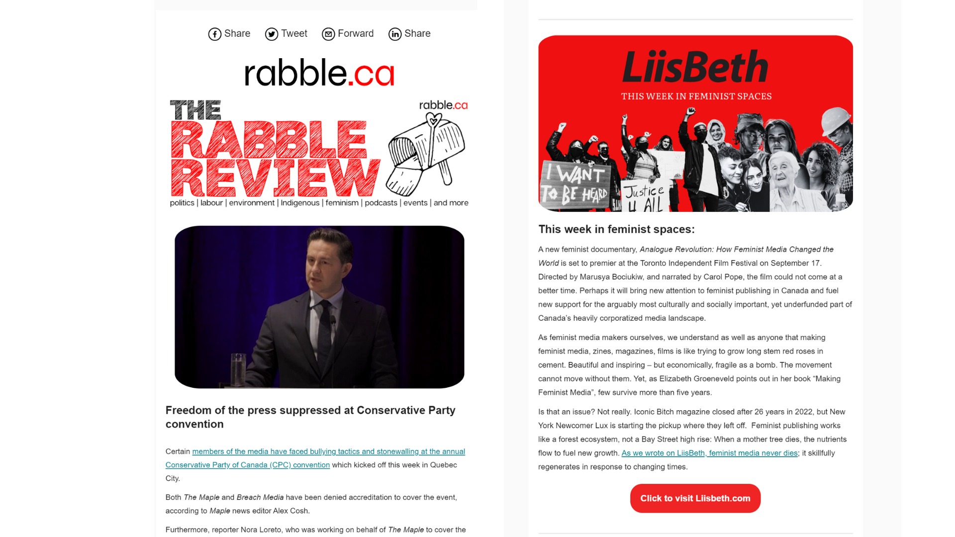 image of rabble.ca's newsletter format with LiisBeth dispatch included